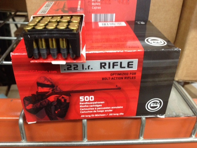 22 LR Ammo